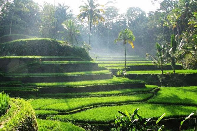 Private Tour: Batuan Temple, Tegenungan Waterfall, Elepahant Cave Free transport - Ubud Palace and the royal center