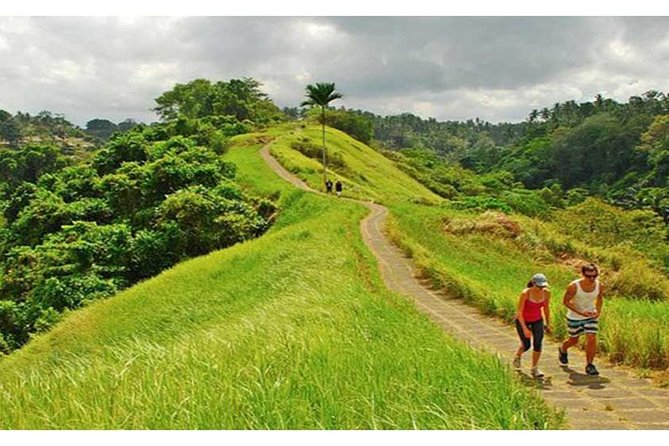 Private Tour: Campuhan Ridge Walk, Ubud Rice Terrace & Ubud Palace - Key points at a glance