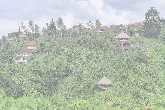 Private Tour: Campuhan Ridge Walk, Ubud Rice Terrace & Ubud Palace - Why Campuhan is the right first stop