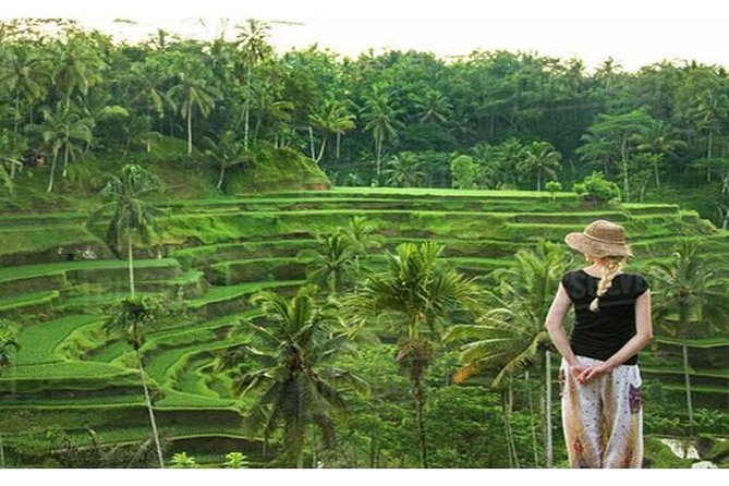 Private Tour: Campuhan Ridge Walk, Ubud Rice Terrace & Ubud Palace - The traditional art market is best for browsing