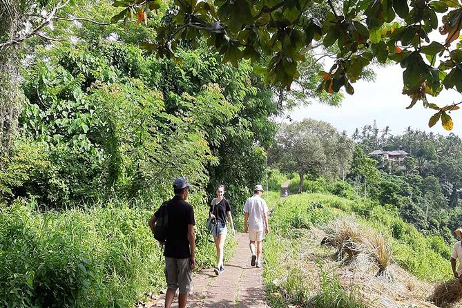 Private Tour: Campuhan Ridge Walk, Ubud Rice Terrace & Ubud Palace - What the $25 private price really covers