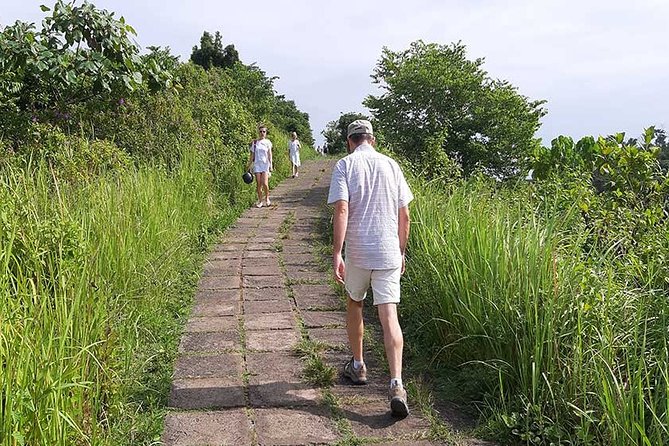 Private Tour: Campuhan Ridge Walk, Ubud Rice Terrace & Ubud Palace - A private driver makes the day easier
