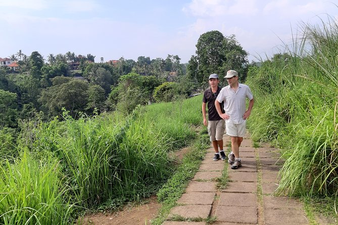 Private Tour: Campuhan Ridge Walk, Ubud Rice Terrace & Ubud Palace - Who will get the most from this Ubud day