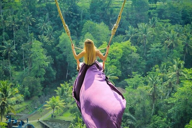 Private Tour: Gates of Heaven,Tukad Cepung Waterfall, Tirta gangga - Why the private format matters