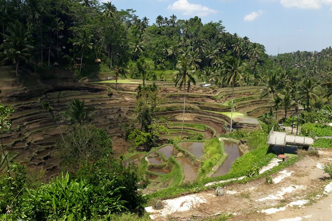 Private tour in Ubud country side - From Kuta to Ubud, the first long transfer