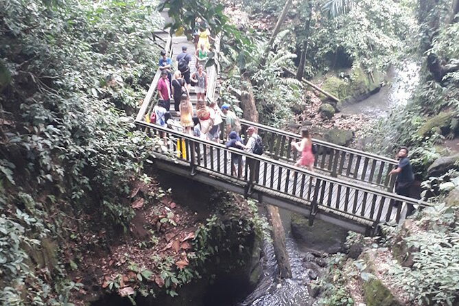 Private tour in Ubud country side - Tegalalang Rice Terrace in a short visit