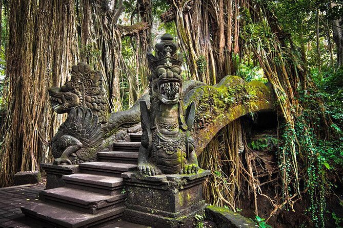 Private tour in Ubud country side - Happy Swing Bali and the extra cost of the photo stop
