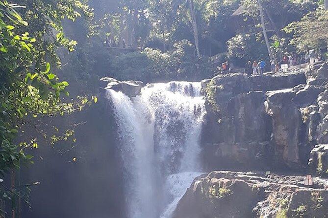 Private tour in Ubud country side - Sacred Monkey Forest, temples, and free-roaming macaques