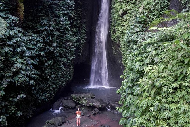 Private Tour: Leke-Leke Waterfall, Handara gate & Iconic Temples - Practical ways to make the day better