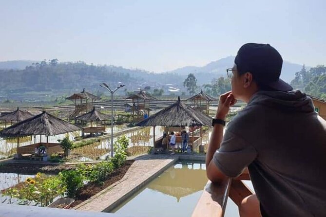 Private Tour to Bandung Volcano Hot Springs and Mud bathing - Is $54.73 good value?