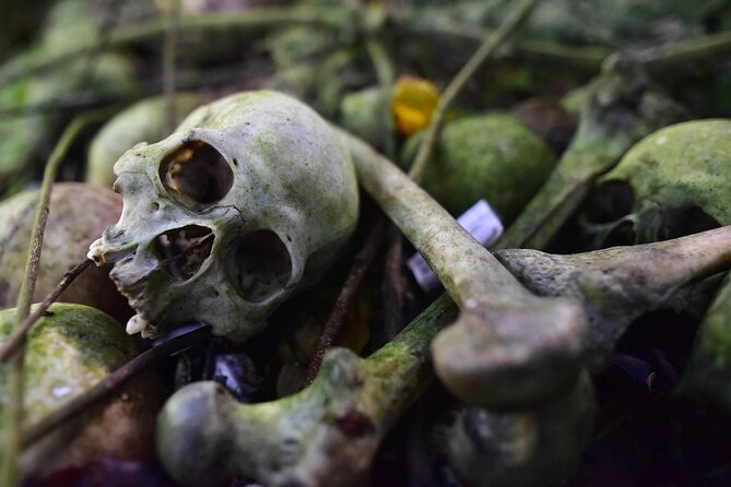 Private Tour to Trunyan Village "Skull Island of Bali" - Why Trunyan Cemetery feels so different