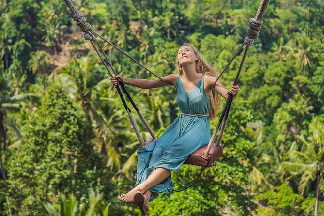 Private Tour: Ubud and Tanah Lot Day Tour - What the private vehicle changes