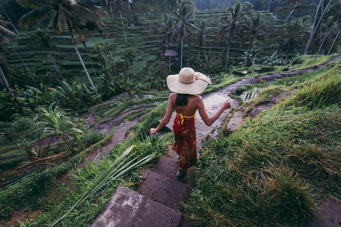 Private Tour: Ubud and Tanah Lot Day Tour - Is $57 good value for a private Bali day?