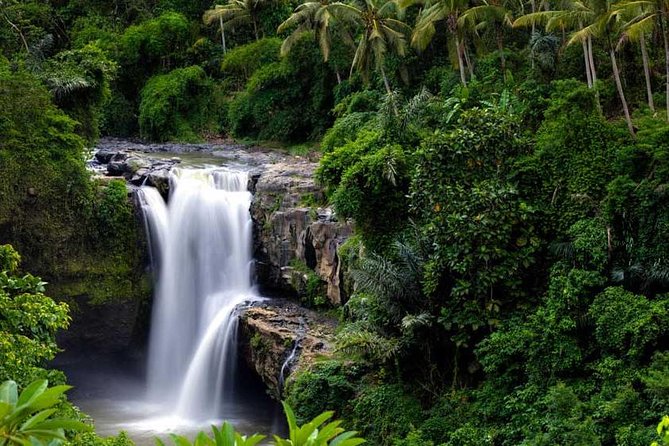 Private Tour - Ubud Kintamani Tours - Barong and Kris Dance in 40 Minutes