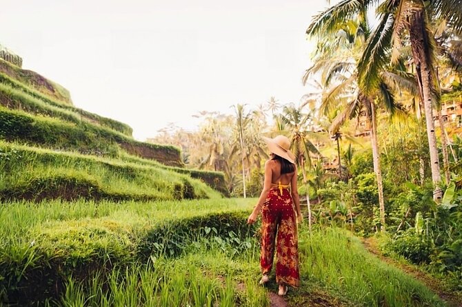 Private Tour Ubud: Swing at Rice Field with Temple and Waterfall - Tirta Empul Temple and Bali’s sacred springs
