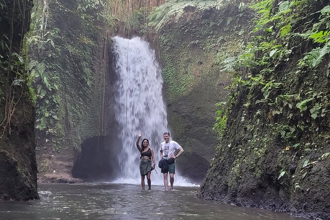Private Tour Ubud: Swing at Rice Field with Temple and Waterfall - Aloha Ubud Swing: start with the big photographs