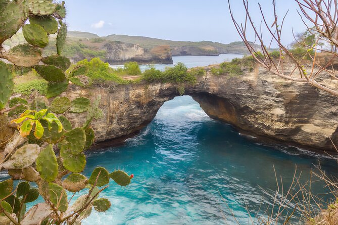 Private Tour West Nusa Penida with T-Rex Beach - What the $43.81 price really covers