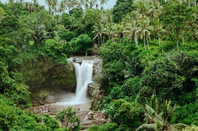 Private Ubud Day Tour Waterfalls Sacred Monkeys and Rice Fields - Tegenungan Waterfall: choose between views and a closer look