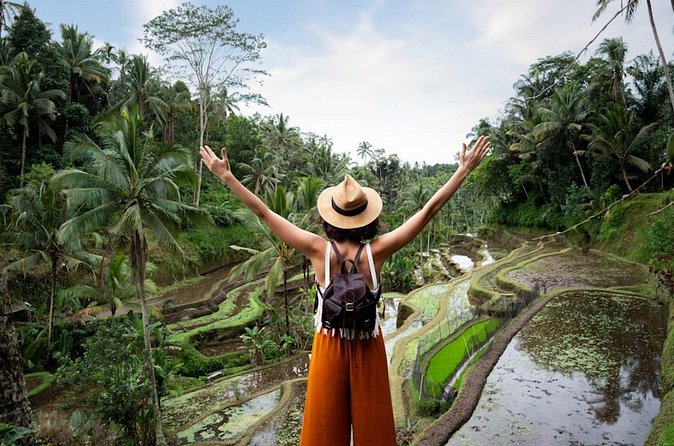 Private Ubud Day Tour Waterfalls Sacred Monkeys and Rice Fields - Sacred Monkey Forest: wildlife beside sacred temples