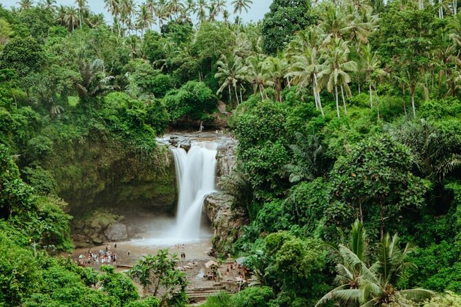 Private Ubud Day Tour Waterfalls Sacred Monkeys and Rice Fields - What the eight-hour schedule really means