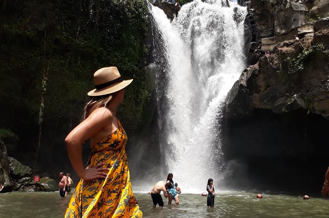 Private Ubud Tour Package - Tegalalang Rice Terrace and the swing photographs