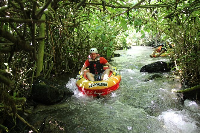 Quad or Buggy Tour with Canyon Tubing Adventure in Bali - Who will enjoy this most
