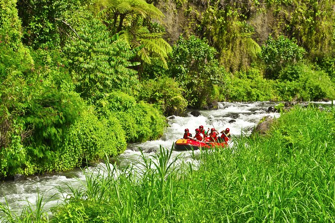 Rafting Adventure 18 km and Balinese Village Life Tour with Lunch - Lunch in Kadek’s family home