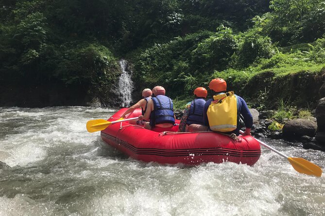 Rafting Adventure 18 km and Balinese Village Life Tour with Lunch - How authentic is the village visit?
