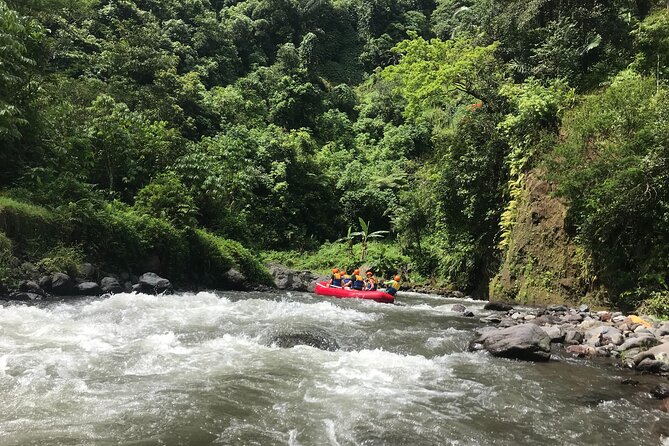 Rafting Adventure 18 km and Balinese Village Life Tour with Lunch - Is the $73.02 price good value?
