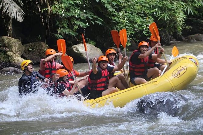 Rafting Swing Monkey Forest And Waterfall Tour All Inclusive - Four Bali sights in one active day