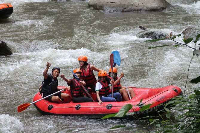 Rafting Swing Monkey Forest And Waterfall Tour All Inclusive - A quick photo stop at Happy Swing Bali