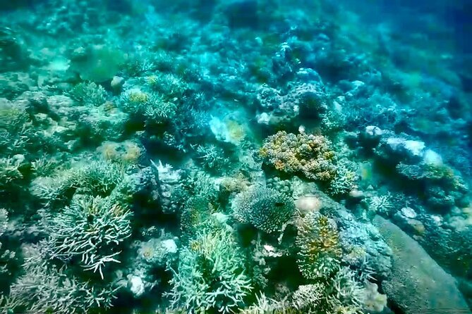Rangko Cave & Beach Snorkeling Half Day Sharing Trip Labuan Bajo - Amelia Hill is a scenic finish, not the main attraction