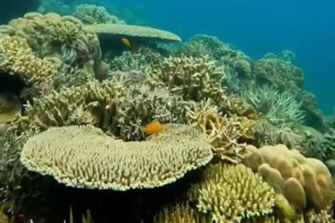 Rangko Cave & Beach Snorkeling Half Day Sharing Trip Labuan Bajo - Service, guides, and transport