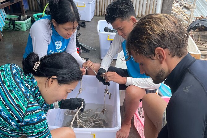 Reef Rehabilitation Course and Snorkeling - Seeing how the coral nursery works