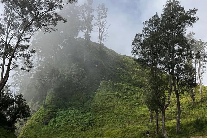 Rinjani Summit 2 days 1 night - A 2:00 AM wake-up and the 3,726-meter summit