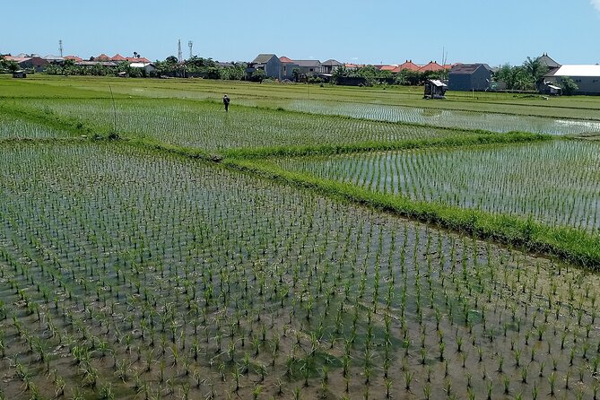 Sanur Village E-bike Tour: Family-Friendly Adventure - The guides are a major part of the experience