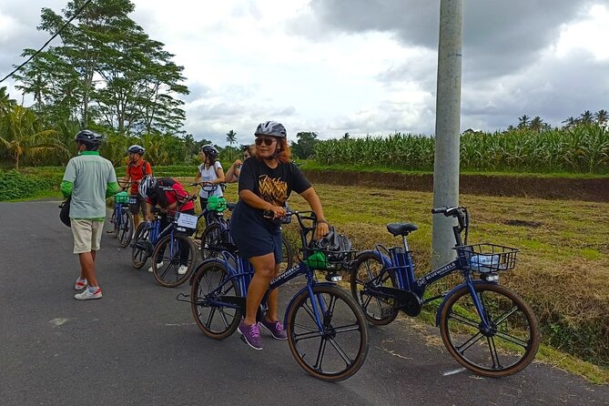 Sanur Village E-bike Tour: Family-Friendly Adventure - The e-bike makes village roads more approachable