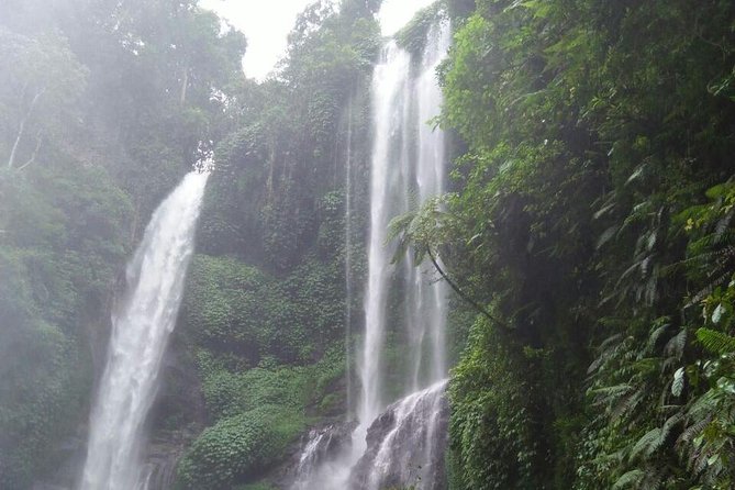 Sekumpul waterfall & aling2 waterfall with private service (including activity) - Sekumpul is the scenic payoff