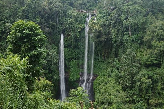 Sekumpul waterfall & aling2 waterfall with private service (including activity) - What the private vehicle adds
