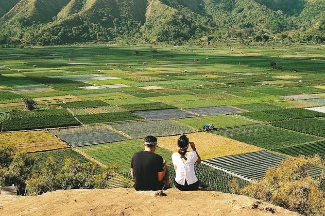 Sembalun Package.. (Special Rice Terrace View) - Why Mt. Rinjani and rice terraces make a strong pairing
