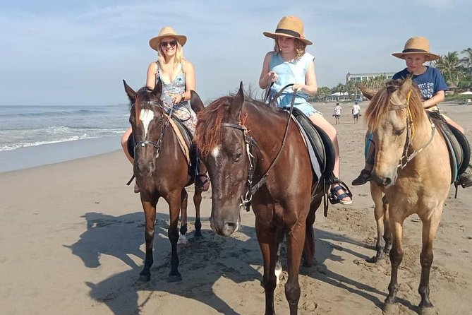 Seminyak Beach Bali Horse Riding - How Personal Is the Private Tour?