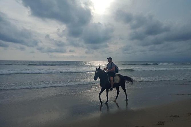 Seminyak Beach Bali Horse Riding - Who Should Book This Ride?