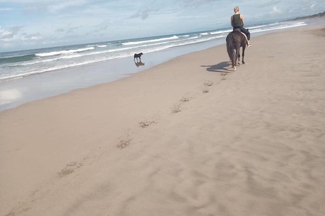 Seminyak Beach Bali Horse Riding - The Horses and the Beach Views