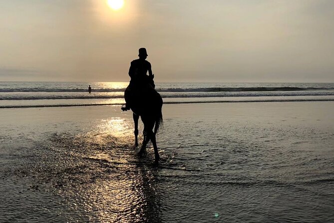 Seminyak Horse back riding In the beach - Who should book this Seminyak experience?
