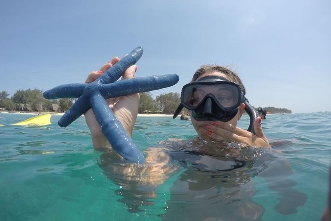 Sharing Snorkeling Trip Gili islands Depart Lombok/Gili Trawangan - Is $20 good value?