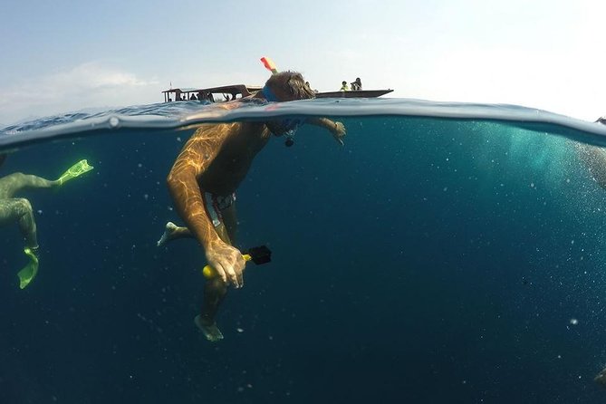 Sharing Snorkeling Trip Gili islands Depart Lombok/Gili Trawangan - Looking for turtles around Gili Meno, 30 minutes
