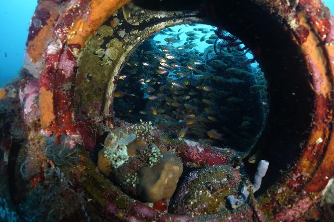 Shipwreck Diving in Tulamben - Why the USAT Liberty makes this Tulamben trip special