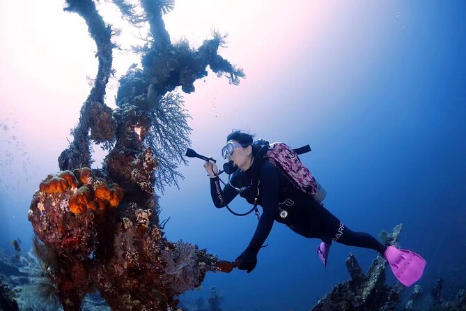 Shipwreck Diving in Tulamben - The surface interval is part of the day