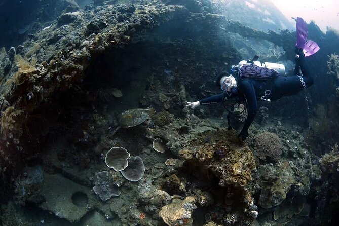 Shipwreck Diving in Tulamben - The staff make a real difference