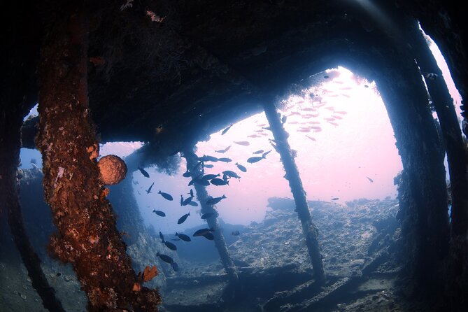 Shipwreck Diving in Tulamben - The two-and-a-half-hour road trip to Tulamben